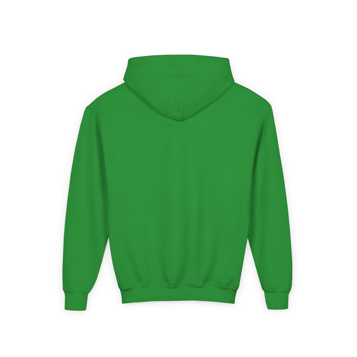 Family Hug Macaw Youth Heavy Blend Hooded Sweatshirt